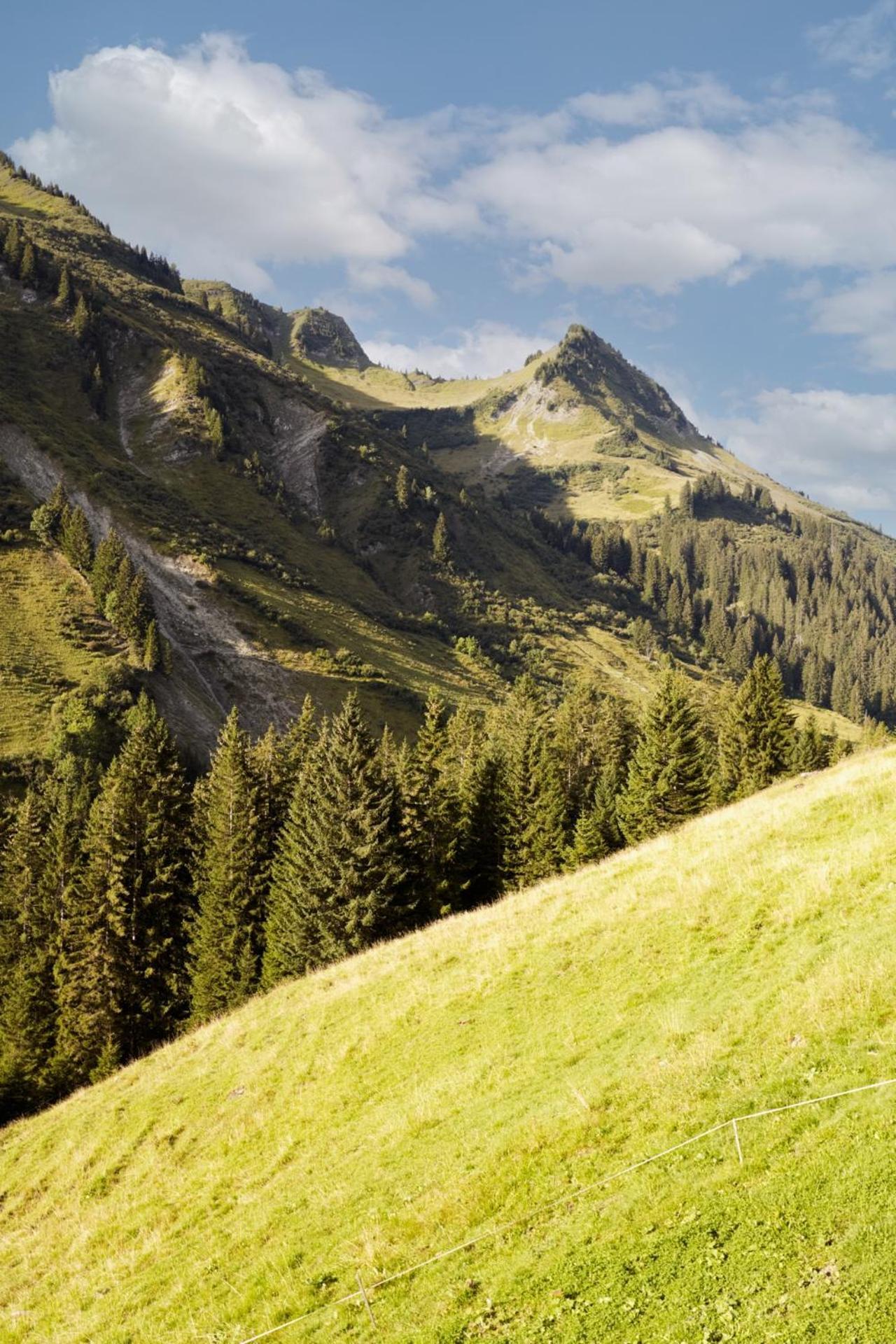 Alpenstolz Damuels Haus 4 - Stilvoll Urlauben In Den Bergen Lägenhet Exteriör bild
